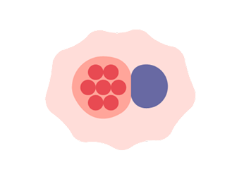Chlamydia illustration