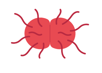 Gonorrhea illustration