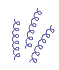 Syphilis illustration